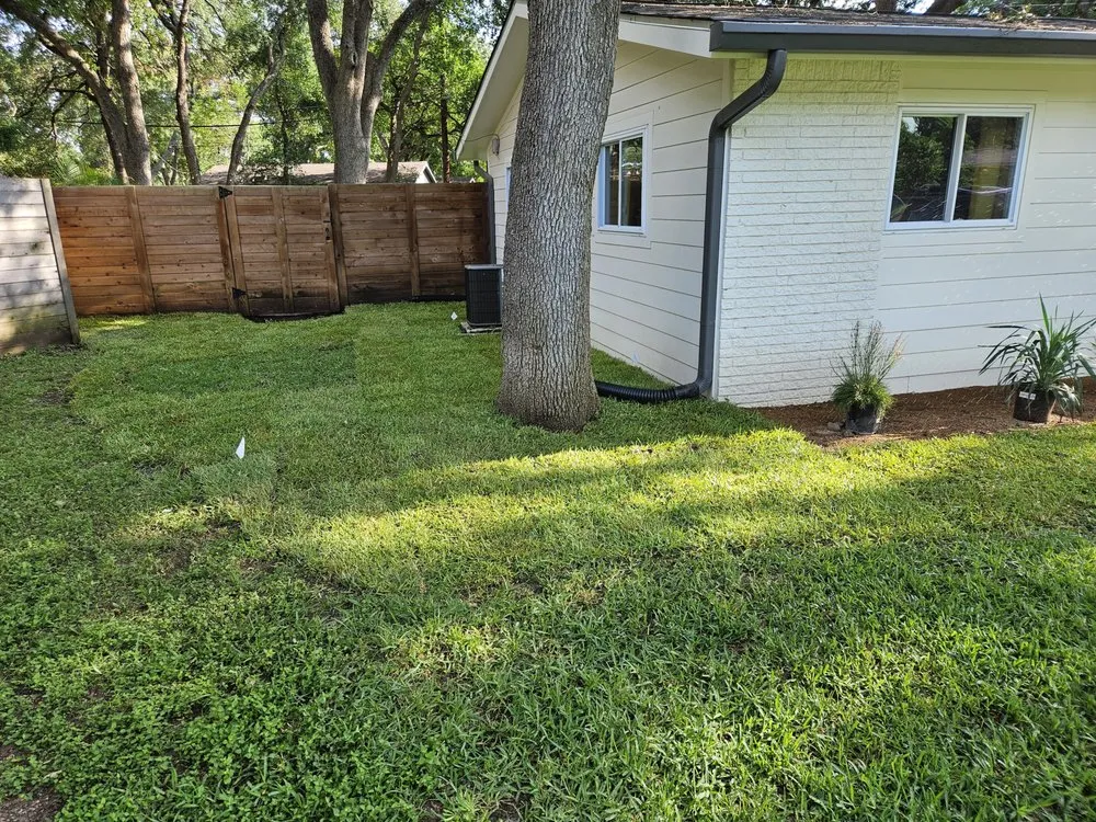 Expert yard cleanup service in Austin, TX - Native Scenery Landscapes