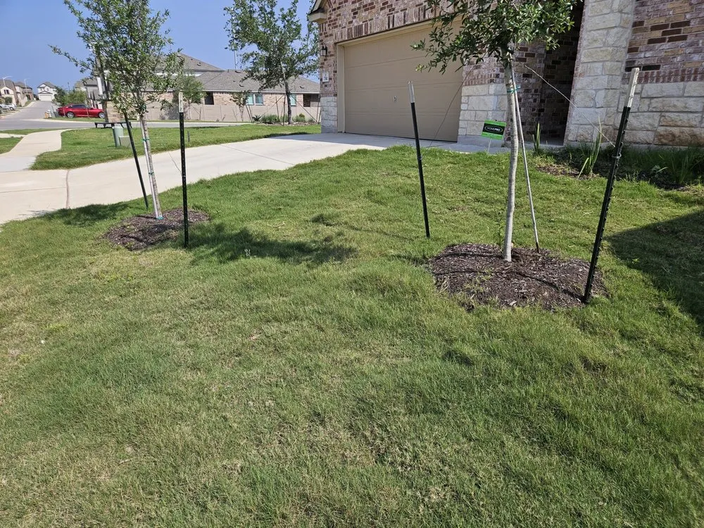 Expert residential landscaping experts serving Austin, TX - Native Scenery Landscapes