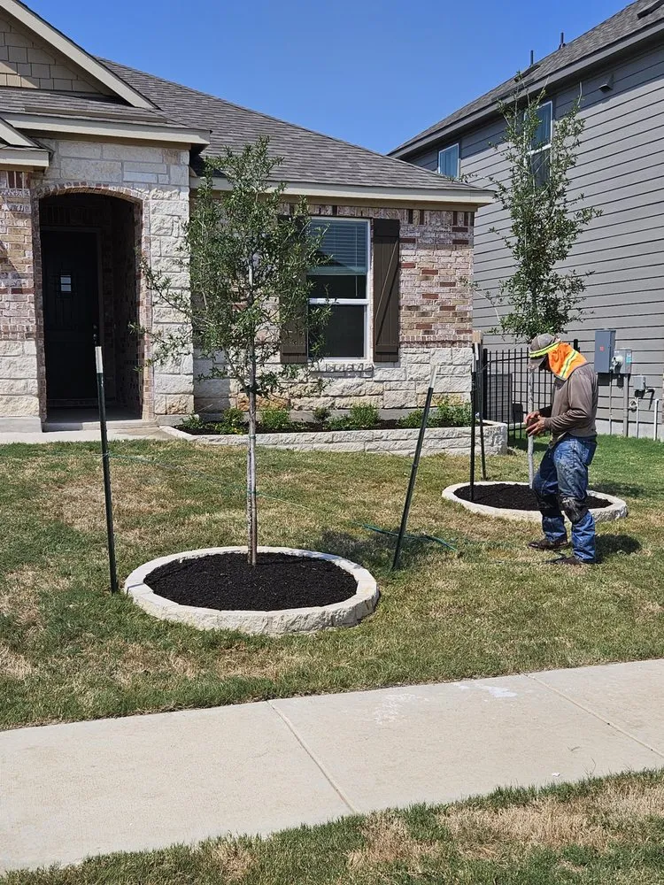 Professional garden landscaping for outdoor upgrades across Austin, TX - Native Scenery Landscapes