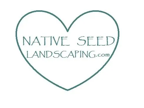 Custom yard maintenance in Breckenridge, CO by Native Seed Landscaping