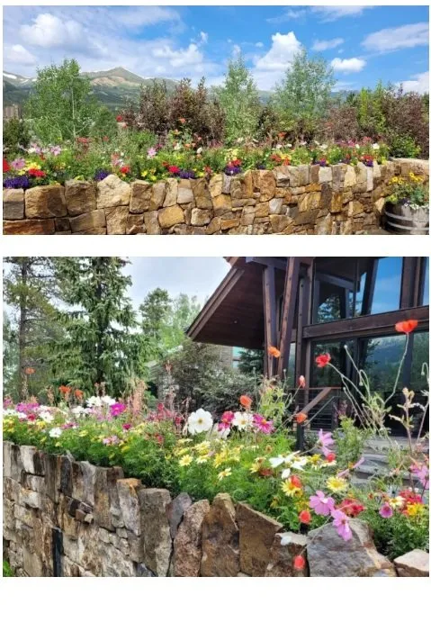 Trusted landscape installation in Breckenridge, CO - Native Seed Landscaping