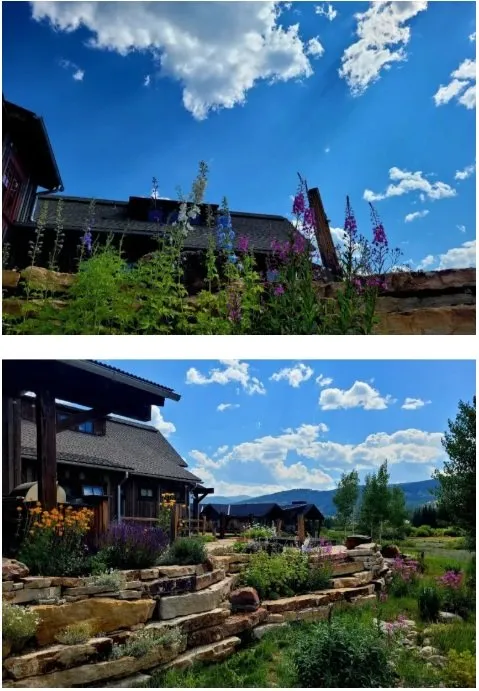 Reliable landscaping services for residential properties in Breckenridge, CO by Native Seed Landscaping