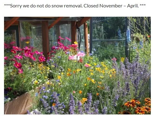 Top-rated garden landscaping in Breckenridge, CO by Native Seed Landscaping