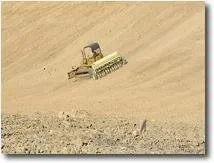 Reliable outdoor landscaping in Windsor, CO by Native Seeders Company