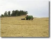 Local residential landscaping in Windsor, CO - Native Seeders Company