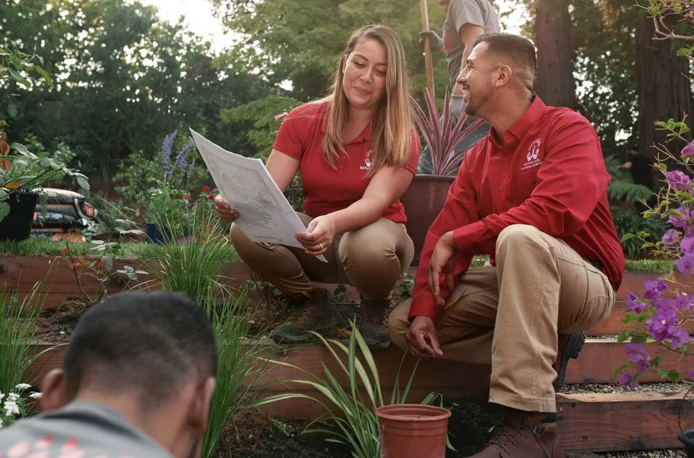 Top-rated yard maintenance in Oakland, CA by Native Soil Landscape