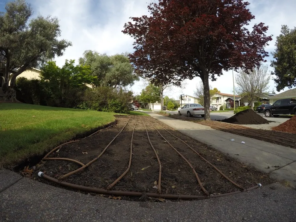Expert garden landscaping in Oakland, CA - Native Soil Landscape