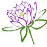 Expert garden landscaping experts serving Sarasota, FL - Native Son Landscaping