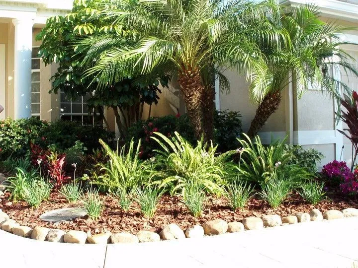 Trusted garden landscaping near you across Sarasota, FL - Native Son Landscaping
