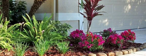 Native Son Landscaping Logo