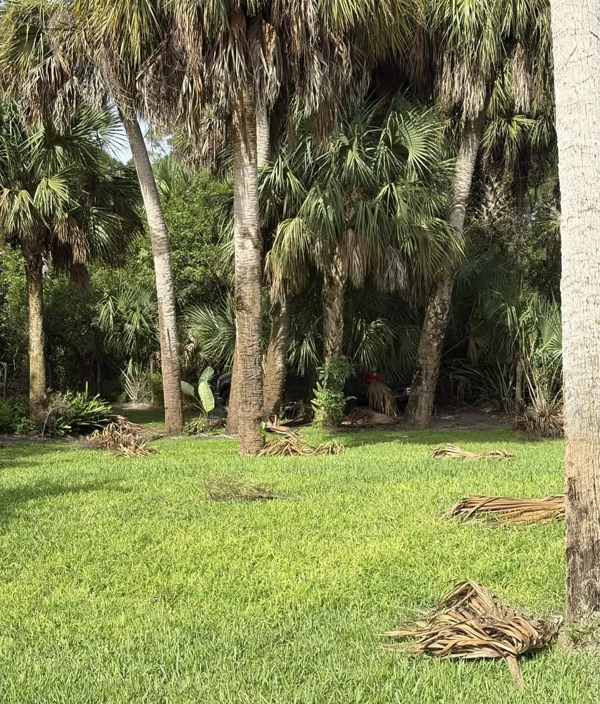 Expert landscape installation for year-round maintenance across Port St. Lucie, FL - Native Soul Landscape Services