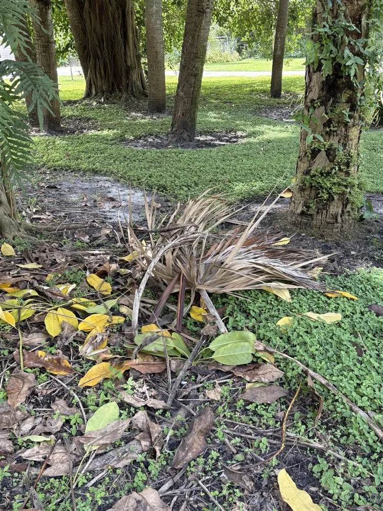 Affordable residential landscaping in Port St. Lucie, FL by Native Soul Landscape Services