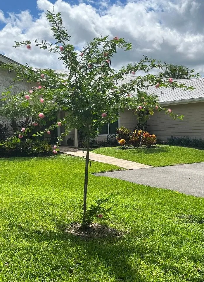 Local lawn care service in Port St. Lucie, FL - Native Soul Landscape Services