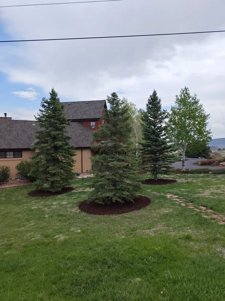 Expert yard maintenance for beautiful yards in Longmont, CO by Native Spaces Landscaping
