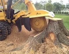Local lawn care service in Sarasota, FL by Native Stump Grinding
