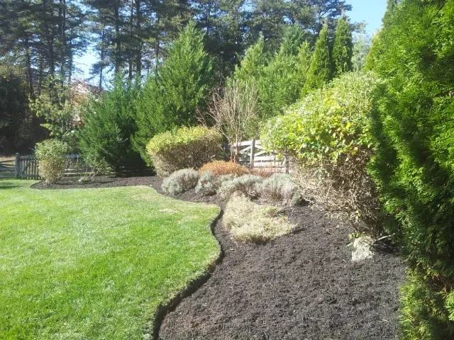 Top-rated landscape design in Rockville, MD by Native Sun Landscaping