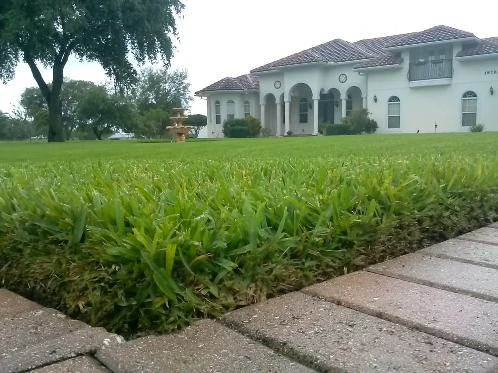 Top-rated landscaping services experts serving Maitland, FL - Native Sun Lawn Service LLC