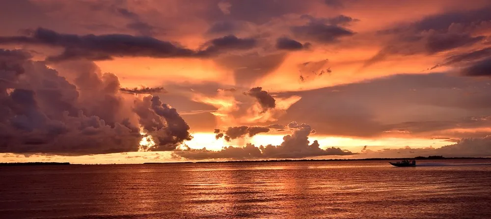 Local yard maintenance in Fort Myers, FL - Native Sun Outdoor Services