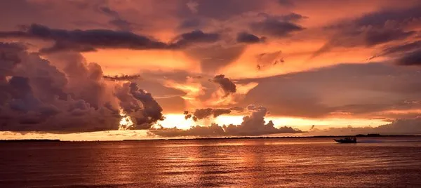 Native Sun Outdoor Services Logo