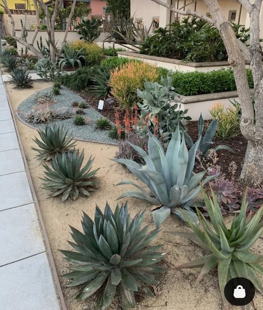 Trusted landscape installation in oceanside, CA by Native Sustainable Landscapes
