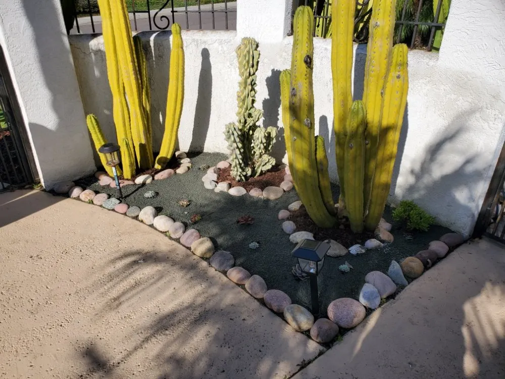 Custom lawn mowing service near you in oceanside, CA by Native Sustainable Landscapes