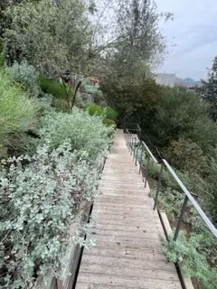 Professional landscaping services in Beverly Hills, CA - Native Sustainable Landscaping