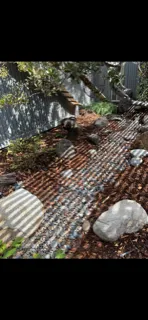 Expert residential landscaping for residential properties in Beverly Hills, CA by Native Sustainable Landscaping