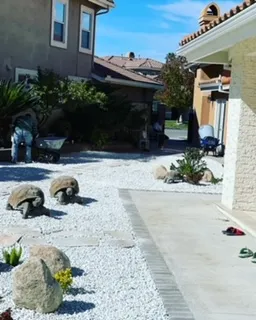 Affordable landscape design experts serving Beverly Hills, CA - Native Sustainable Landscaping