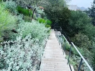 Professional garden landscaping experts serving Beverly Hills, CA - Native Sustainable Landscaping