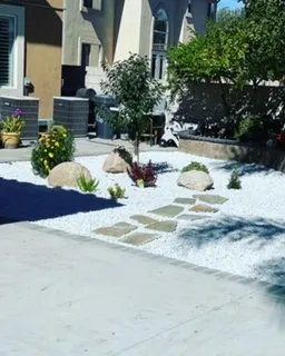 Expert landscape design in Beverly Hills, CA - Native Sustainable Landscaping