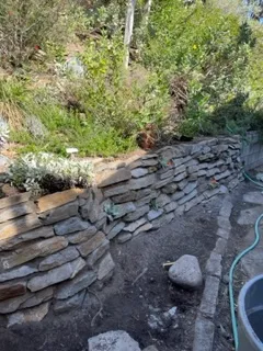 Native Sustainable Landscaping