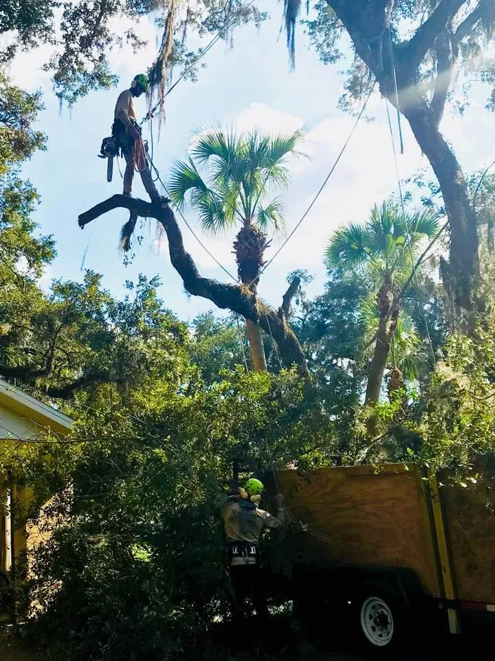 Top-rated landscape installation in Sarasota, FL by Native Tree Service