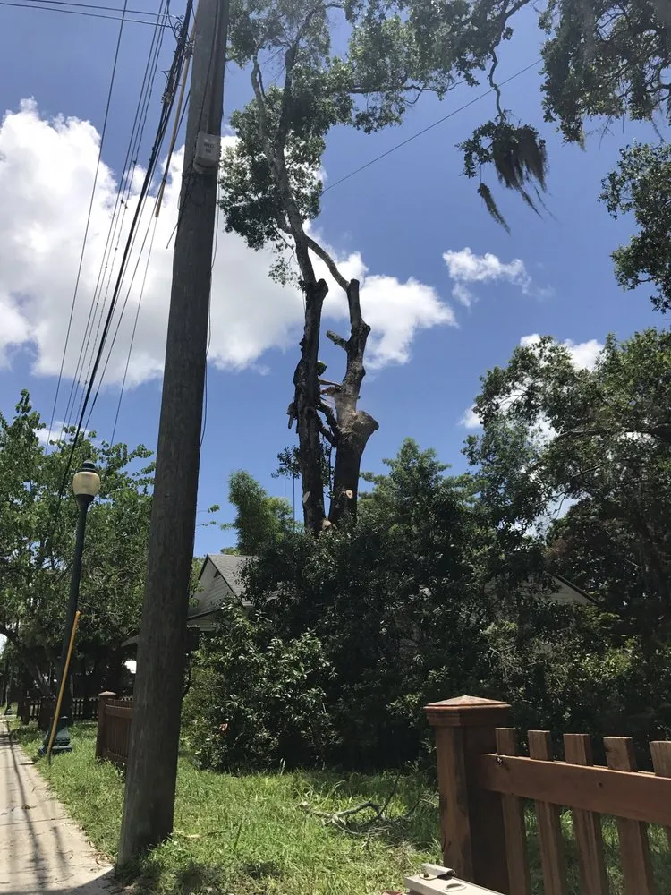 Trusted garden landscaping with custom design in Sarasota, FL by Native Tree Service