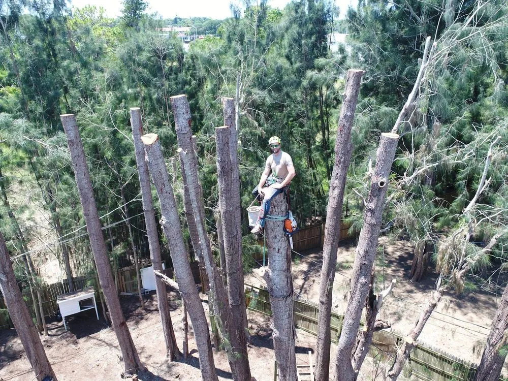 Reliable yard maintenance for beautiful yards across Sarasota, FL - Native Tree Service