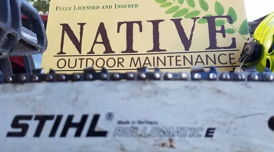 Affordable landscaping services for outdoor upgrades in Sarasota, FL by Native Tree Service