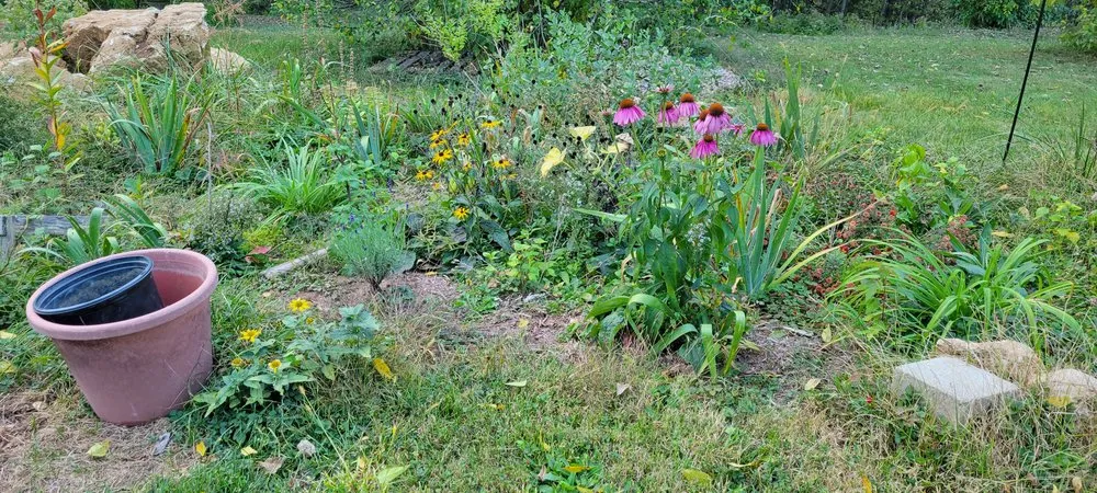 Local landscaping services in Bloomington, IN - Native View