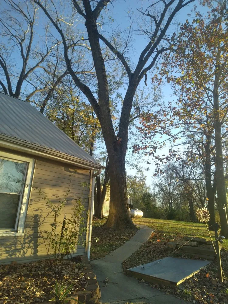 Top-rated lawn care service in Flemington, MO - Native Ways