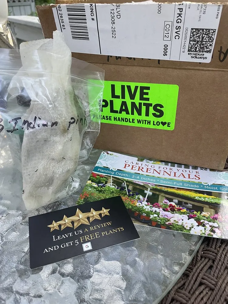 Custom garden landscaping in Altamont, TN by Native Wildflowers Nursery