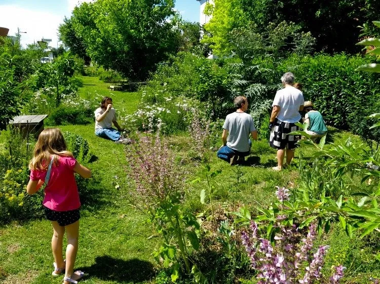 Expert residential landscaping in Jacksonville, FL - NativeJax