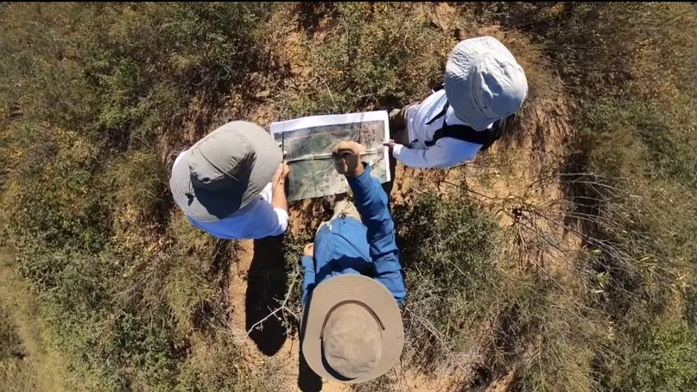 Local lawn mowing service in Jacksonville, FL by NativeJax