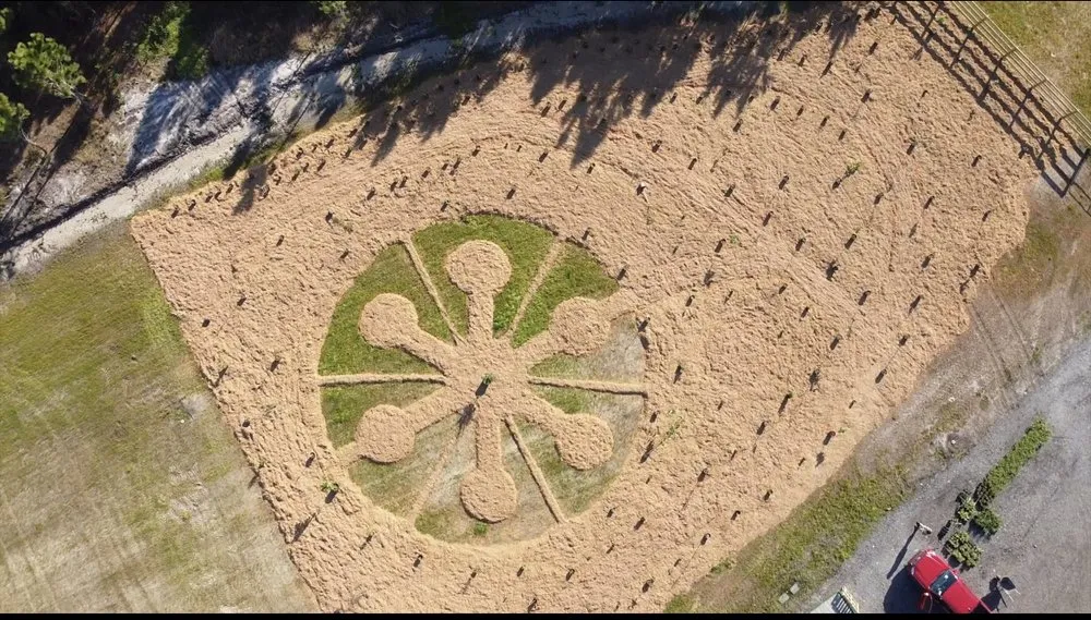 Reliable landscape design with custom design across Jacksonville, FL - NativeJax