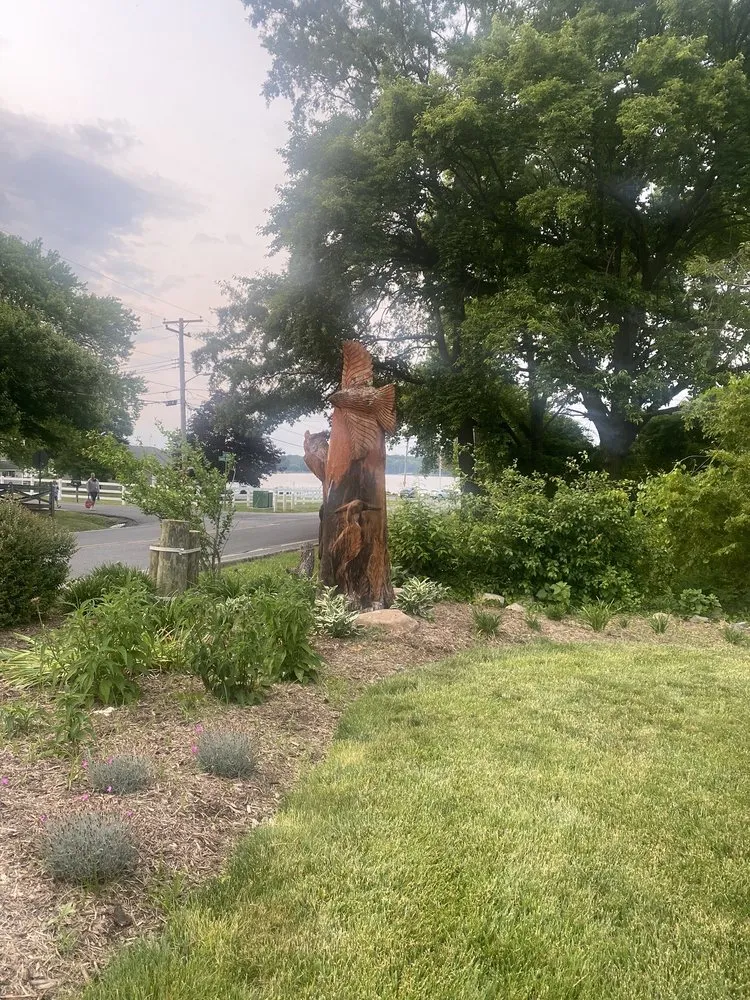 Professional lawn mowing service in Harwood, MD - Nativer Tree Expert