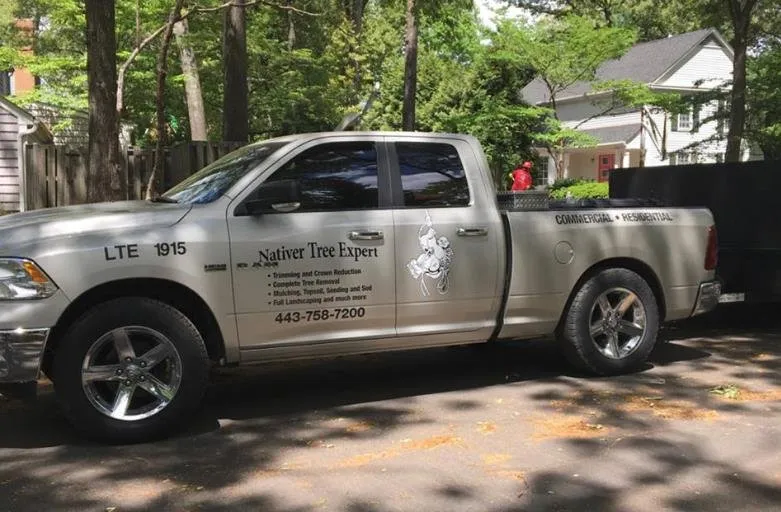 Affordable landscaping services for year-round maintenance in Harwood, MD by Nativer Tree Expert