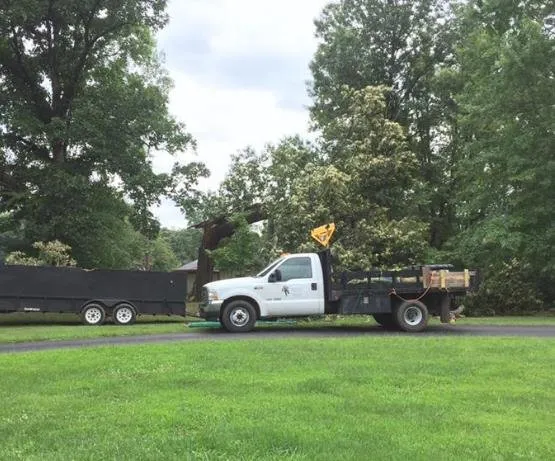 Top-rated lawn care service experts serving Harwood, MD - Nativer Tree Expert