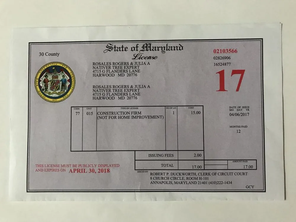 Local yard maintenance experts serving Harwood, MD - Nativer Tree Expert