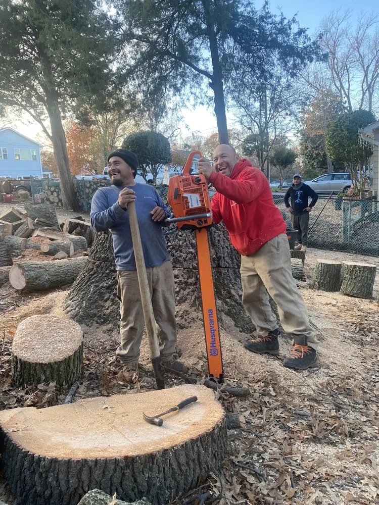 Professional landscape design experts serving Harwood, MD - Nativer Tree Expert