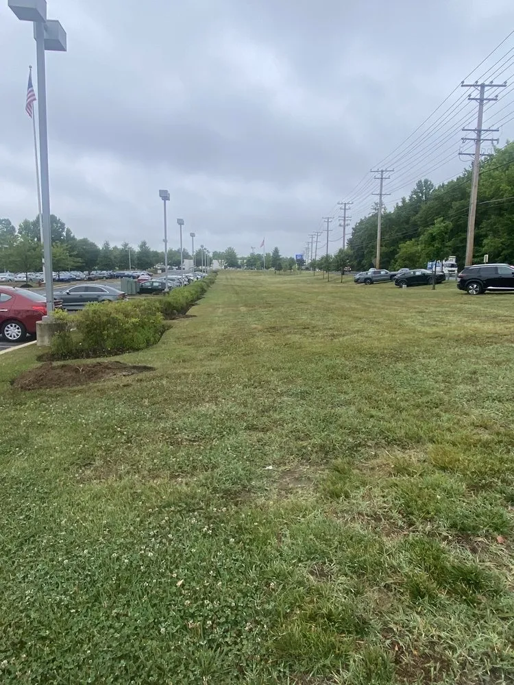 Top-rated residential landscaping in Harwood, MD - Nativer Tree Expert