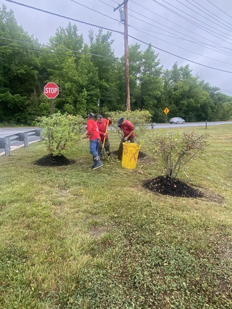 Local outdoor landscaping in Harwood, MD - Nativer Tree Expert