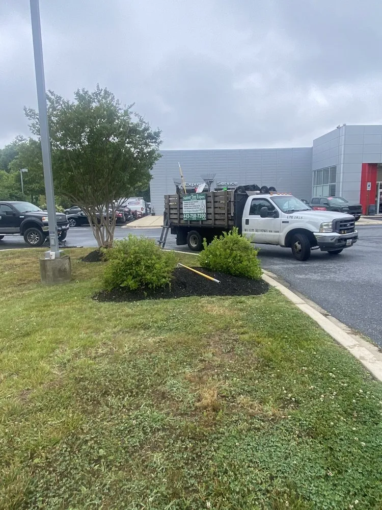 Expert landscape design in Harwood, MD - Nativer Tree Expert