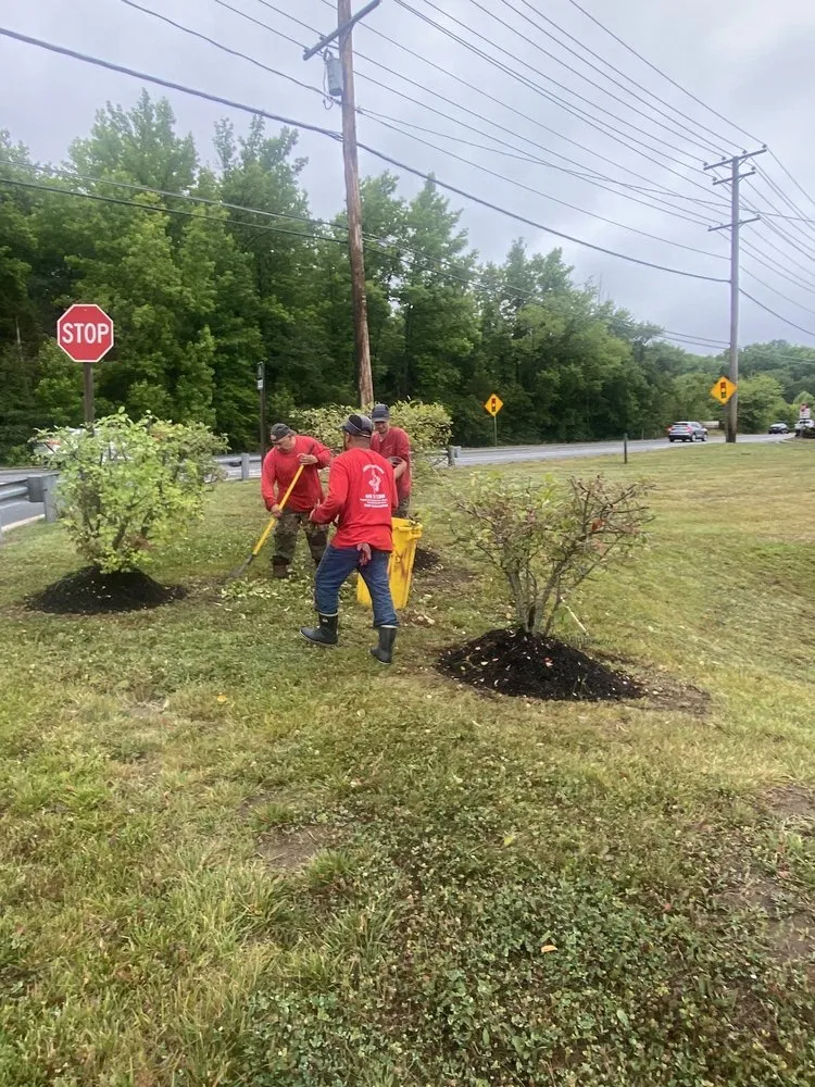 Affordable landscape installation experts serving Harwood, MD - Nativer Tree Expert